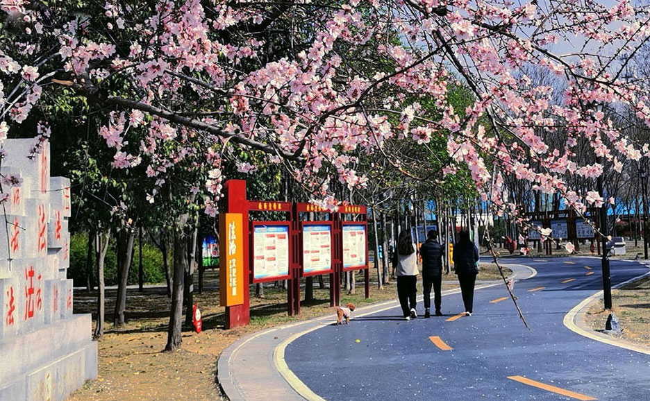 未標(biāo)題-1.jpg 未標(biāo)題-1.jpg